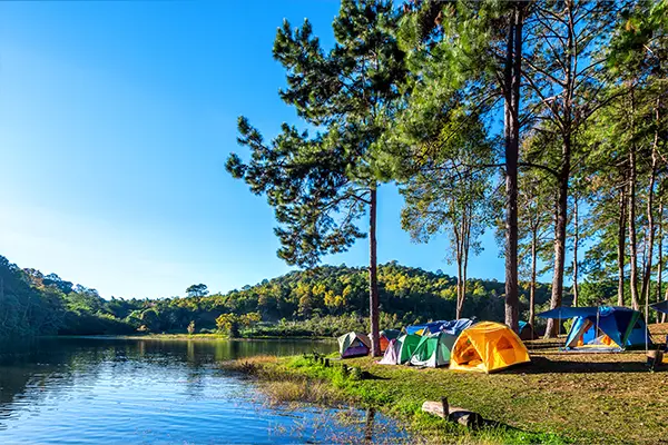 De nouvelles activités cette année au camping Modèle Cosmopolitan